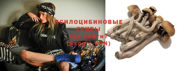 амф Беломорск