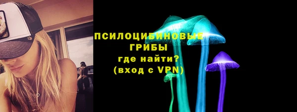 соль ск Белокуриха