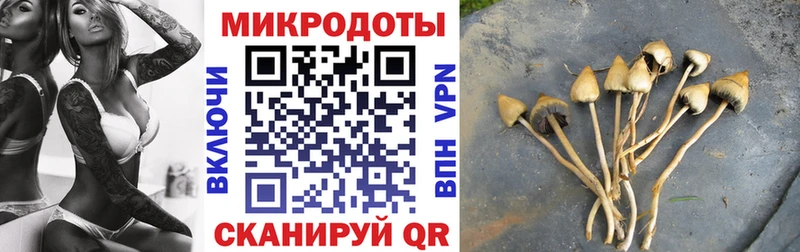 omg ссылки  Белая Холуница  Псилоцибиновые грибы прущие грибы  дарнет шоп 